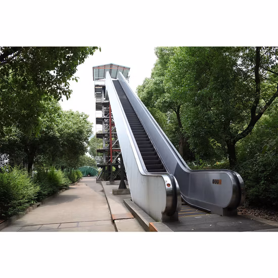 22m High Quality Cost Escalators Public China Handrail Electric Escalator