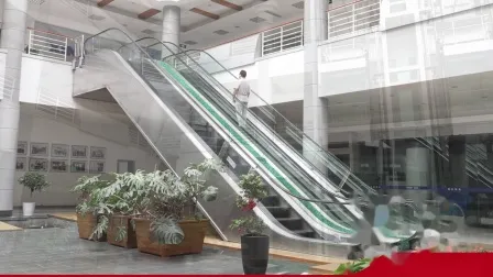 22m High Quality Cost Escalators Public China Handrail Electric Escalator