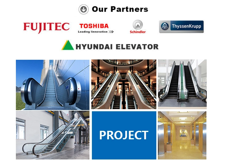 Luxury Lifts Villa Elevator Residential Cheap Passenger Home Elevator Lift